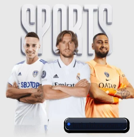 intl-aitiyu.com.cn APP